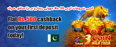 میگا سلاٹ فری اسپنز promotion